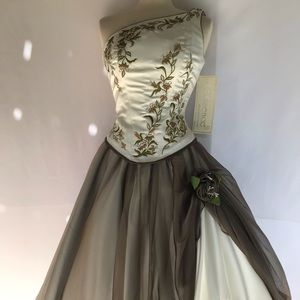 Quinceañera/prom dress